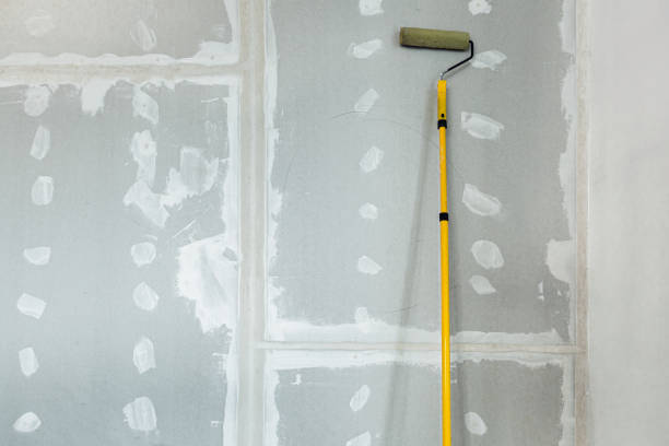 Trusted Bartonville, TX Mold Removal Experts
