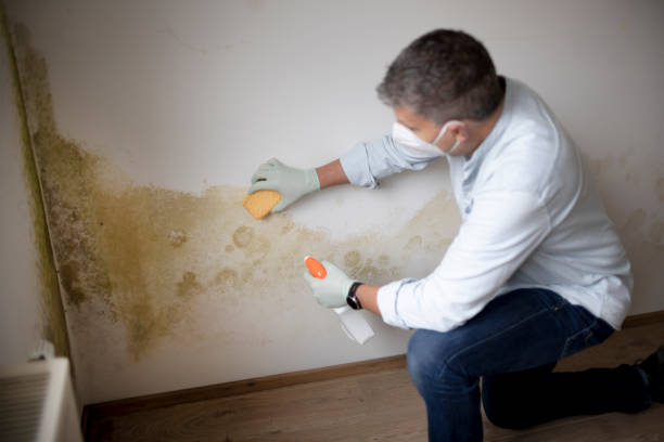 Best Mold Documentation for Insurance Claims  in Bartonville, TX