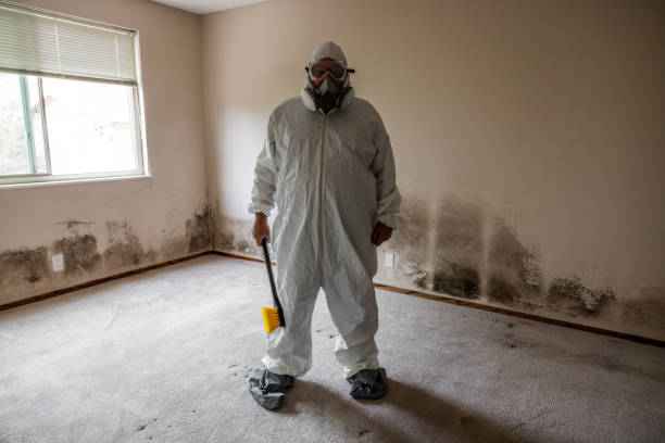 Best Industrial Mold Remediation  in Bartonville, TX